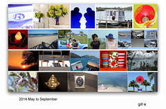 May-September in 2014, weekly photos