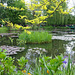 Water-Lily Pond  ~ Monet's Flower Garden  ~ Giverny ~ MjYj
