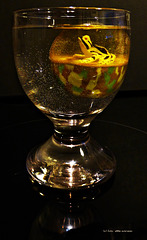Frosch im Flummi - Flummi im Wasser - Wasser im Glas ... (4x PiP)