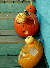 Pumpkins wearing fascinators