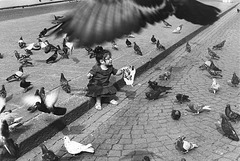 fillette et pigeons