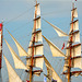 Sail 2015 – Sails of the Europa