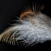 Feather 2