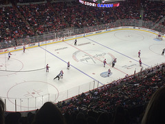 Caps v. Panthers, 2/2/2016