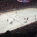 Caps v. Panthers, 2/2/2016