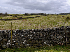 Fenced wall