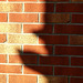 Wall shadow