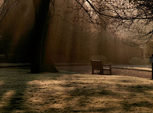 HBM~ The bench in the mist
