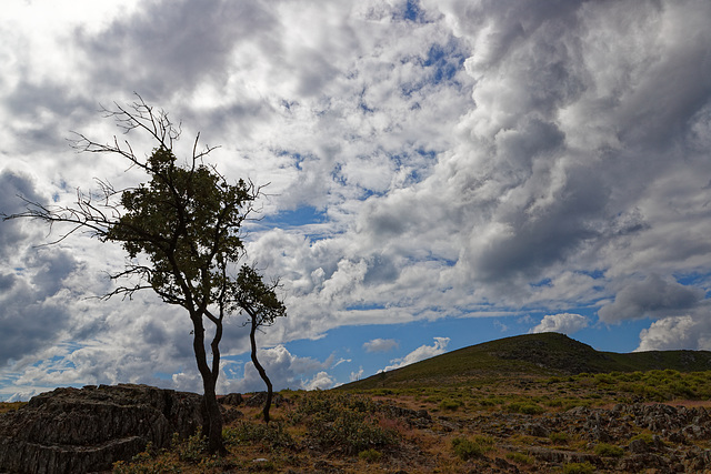 Serra de São Macário, Portugal