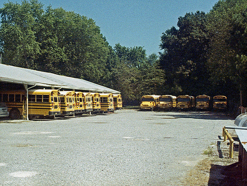 25mm Buses