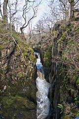 Ingleton waterfalls trail: Baxenghyll Gorge