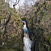 Ingleton waterfalls trail: Baxenghyll Gorge