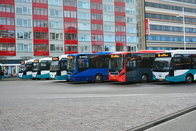 Colourful Arriva buses