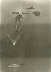 The Glass And The Rose No. 1