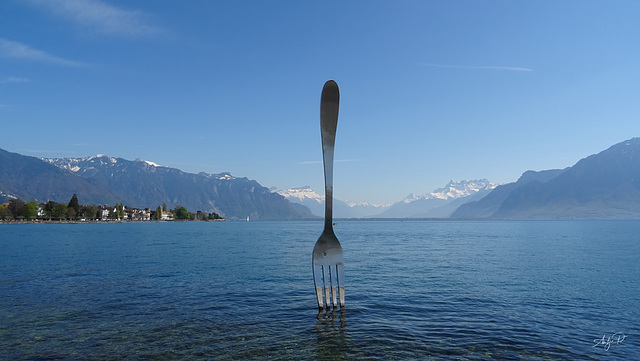 the fork
