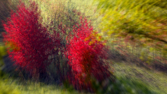 L'automne magique d'une autre dimension