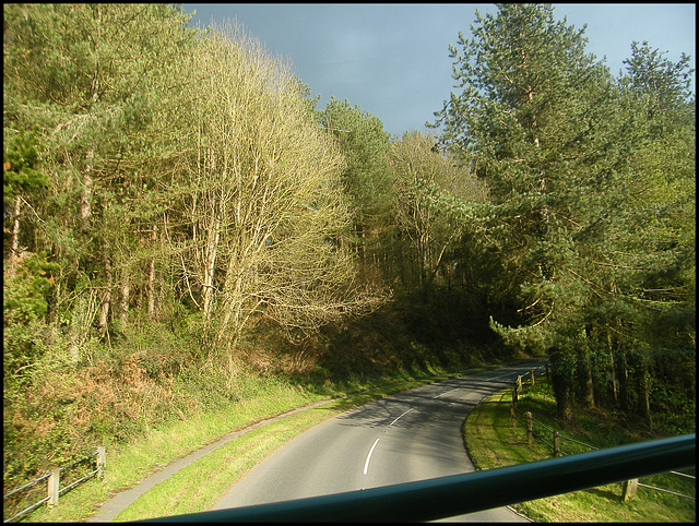 sunlight on a road near Seaton
