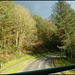 sunlight on a road near Seaton