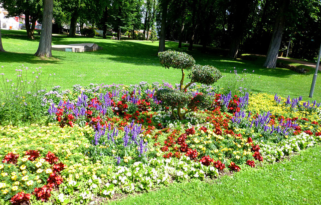 DE - Bad Kreuznach - Flowers in the Spa gardens