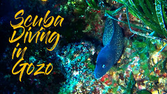Scuba Diving in Gozo (video 4:09 min)
