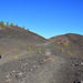 links geht's zum Vulkan Sámara  (© Buelipix)