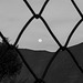 FENCE AND THE MOON