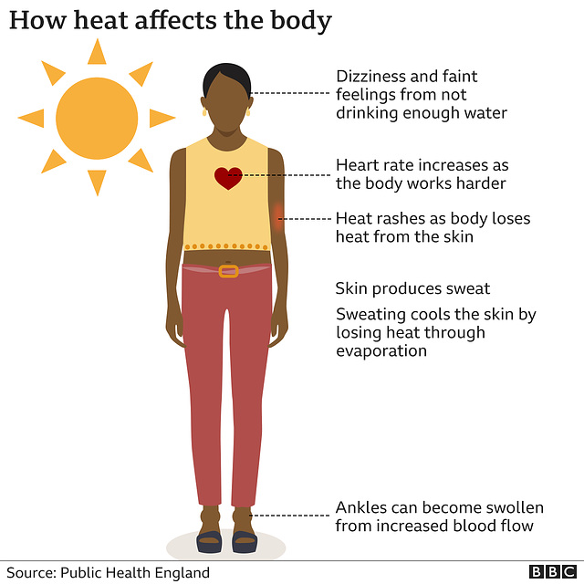 shw - heat effects on body