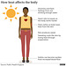 shw - heat effects on body