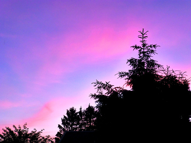 DE - Weilerswist - Evening Sky