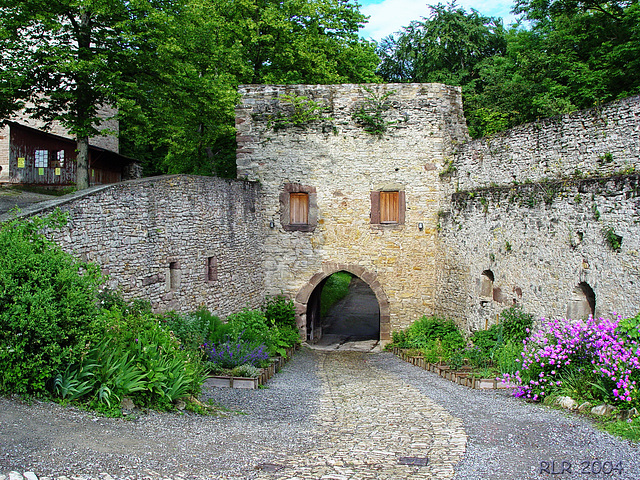 Burg Plesse bei Göttingen