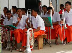Musicians in Tonga (HBM)