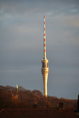 Im letzten Abendlicht im Novemver der Fernsehturm Dresden