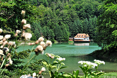 Ighiel Lake
