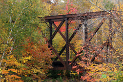 Railroad trestle in the woods