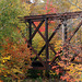 Railroad trestle in the woods