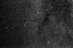 Cygnus area I (view on black)