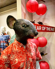year of the rat ... coincidence? I think not.