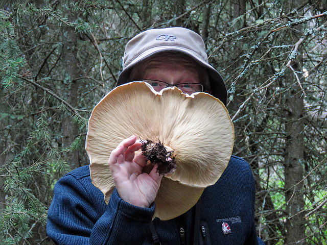Our leader for fungi walks, Karel Bergmann