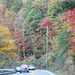 FALL HOLIDAY.... GATLINBURG, Tennessee.... ( a moving shot..not such good focus  :((