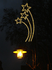 Speyer - Weihnachtssterne in der Korngasse