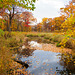 Autumn at Willoway Brook