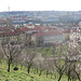 Prague, panorama 13.