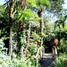 Giardino Botanico André Heller. ©UdoSm
