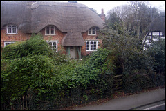Hampshire thatch