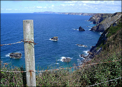 HFF everyone! A rare Cornish fence.