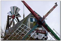 Mühle Venti Amica