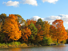 The Lakefront in Fall