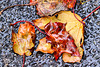 1 (51)a...austria wet leaves...blätter