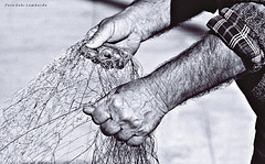 the hands of the fisherman