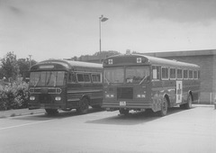USAF hospital buses 67B 1950 and 79B 5929 at RAF Lakenheath - 4 Jul 1982 1